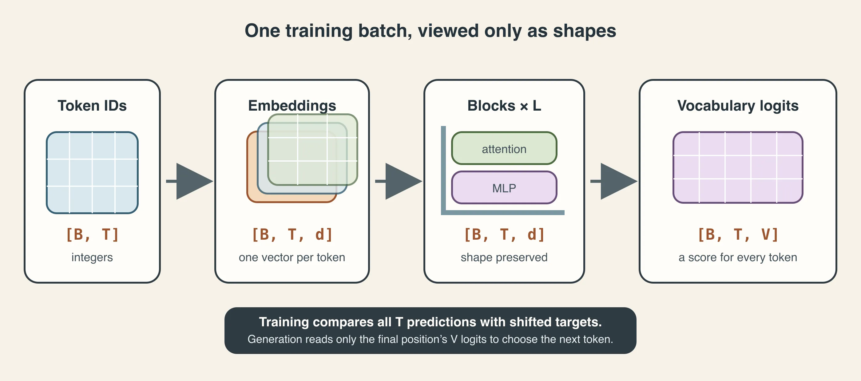 The tensor shape changes from token IDs to embeddings, remains stable through the Transformer blocks, and expands to one logit per vocabulary entry